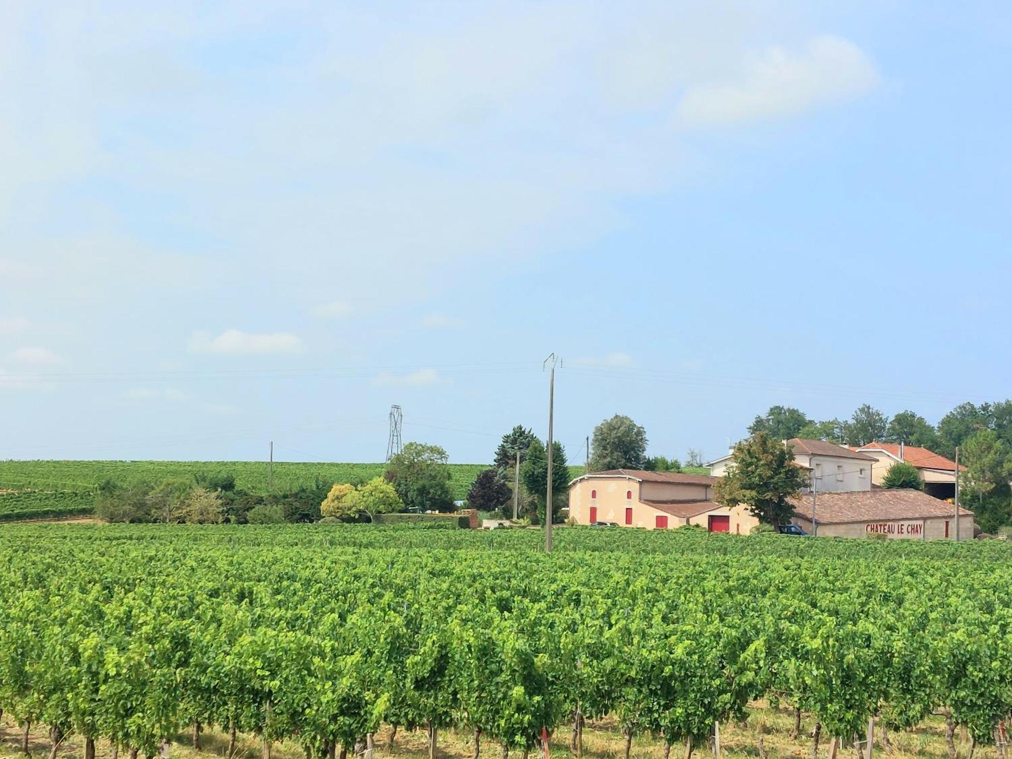 Ferienwohnung Duplex Cocoon - 10 Min De Blaye - 20 Min Cnpe - Wifi - Tv Hd Saint-Seurin-de-Cursac Exterior foto